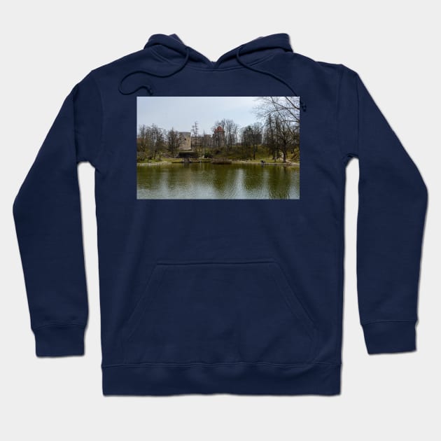 The pond and ruins of medieval castle Hoodie by lena-maximova